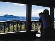 ���x�W�]��̎ʐ^2