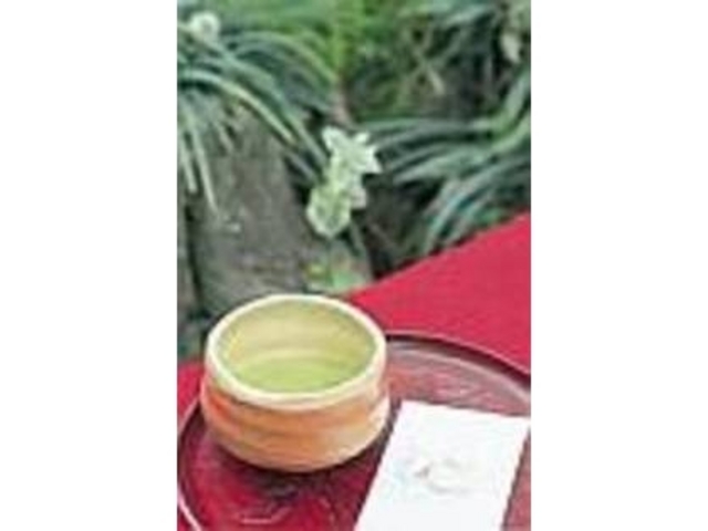 �D�v����i�����׎R�؂̉��ł�������_�œ���