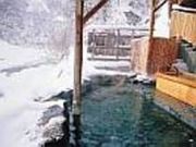 �얓����t�̎ʐ^1