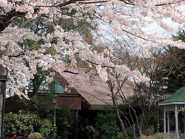 ���㕧�������� �񎍎ɂ̎ʐ^1