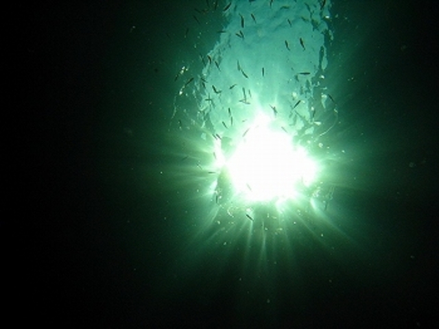 �_�C�r���O�V���b�vFUN