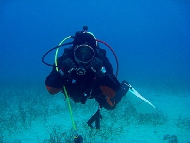 �_�C�r���O�V���b�vFUN