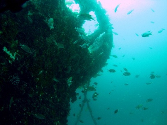 �_�C�r���O�V���b�vFUN