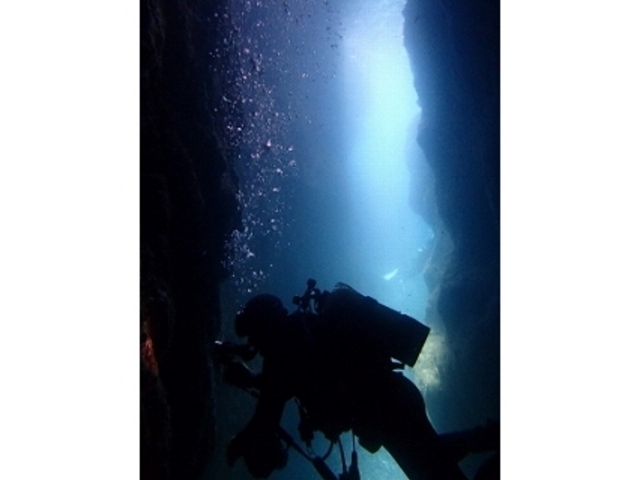 �_�C�r���O�V���b�vFUN