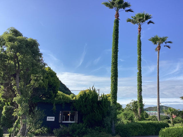 ISLAND�i�A�C�����h�j�̎ʐ^1