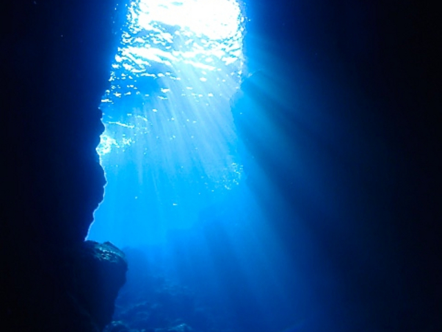 �̓��A�́A���Ԃɂ���Č��������Ⴄ�̂Ŏ����D�݂̎��Ԃ�������̂��y���݂̈�I�I_�V�[���o�[�Y����