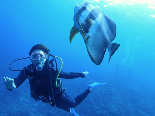 �l���������c�o���E�I�ƈꏏ�ɉj�������o�����Ⴂ�܂����_�V�[���o�[�Y����