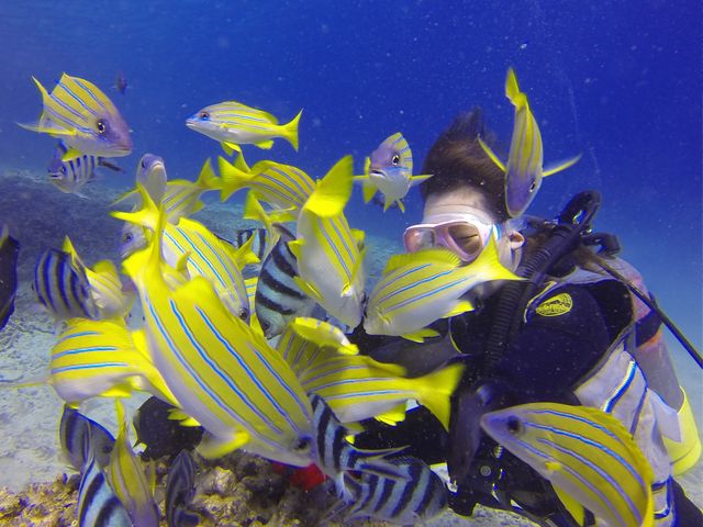 �N�}�m�~��ł́A�̓��A�t�߂Ƃ́A����������������鎖���ł��܂��I�I_�V�[���o�[�Y����