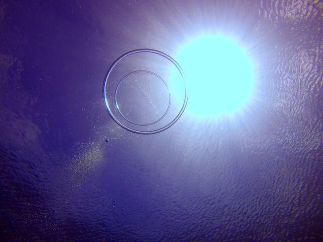 �X�^�b�t�̓��ӋZ�I�I�o�u�������O���y��I�H_�V�[���o�[�Y����