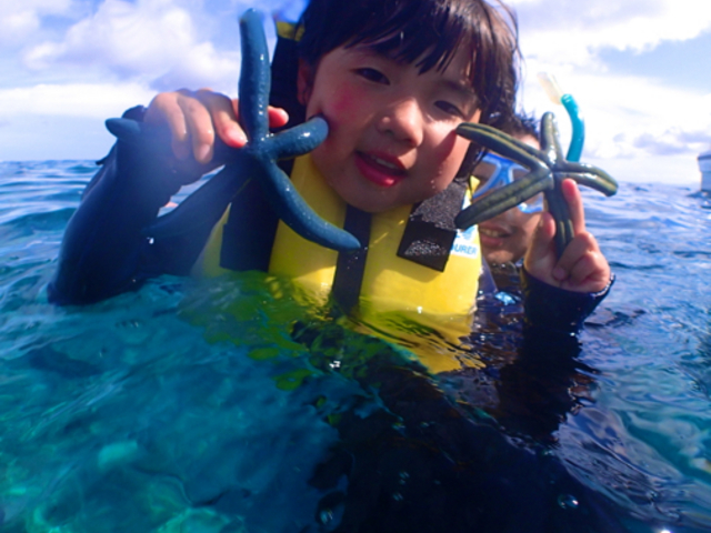 �q�g�f�Ȃǐ�����������Ɏ��ώ@���邱�Ƃ��ł��܂����_�V�[���o�[�Y����