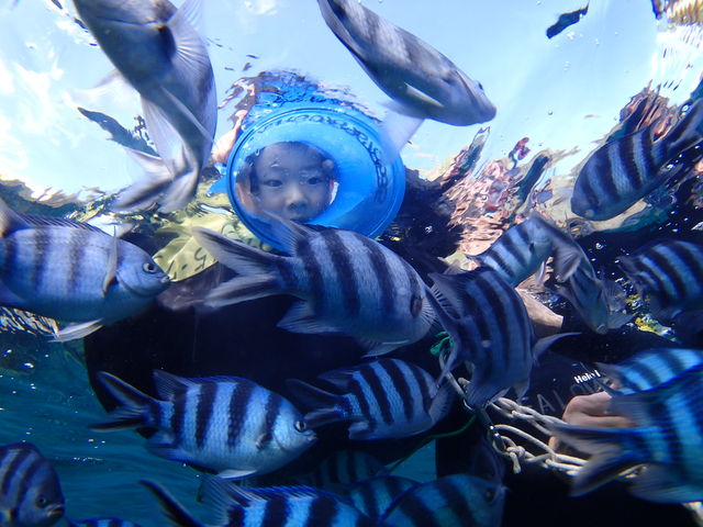 �}�X�N�̂���Ȃ����q�l�ɂ́A�����K�l���������\�I�I�X�^�b�t�ɂ��\���t���������B_�V�[���o�[�Y����