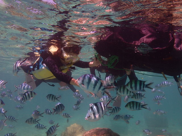 �l���������������ɉa�t���̌��I�I������񖳗��ł��I�I_�V�[���o�[�Y����