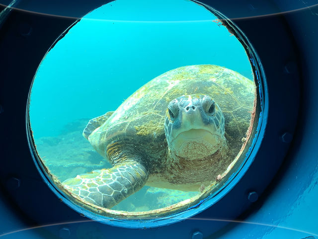 �y�C���W�]���z�{���ɍK�^�I���R�̃E�~�K���ɏo��銴���̏u�Ԃ��B_���{�C������