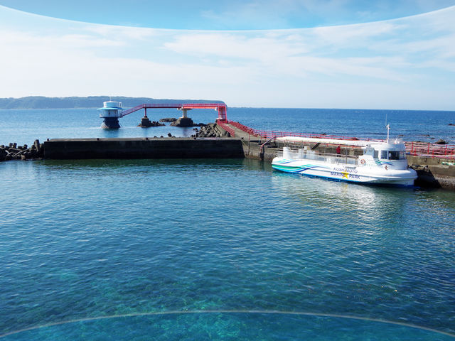 �������^�̊C���ό��D�͂���ɉ��̃T���S�Q���X�|�b�g������܂��B_���{�C������