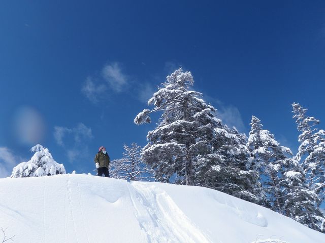 青い空・白い雪！_小坂の滝めぐり