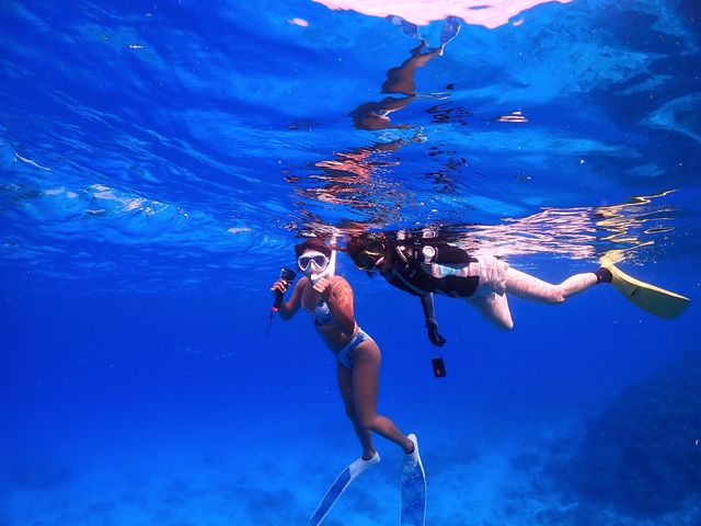 ���݂Ă񂮁E�_�C�r���O�T�[�r�X