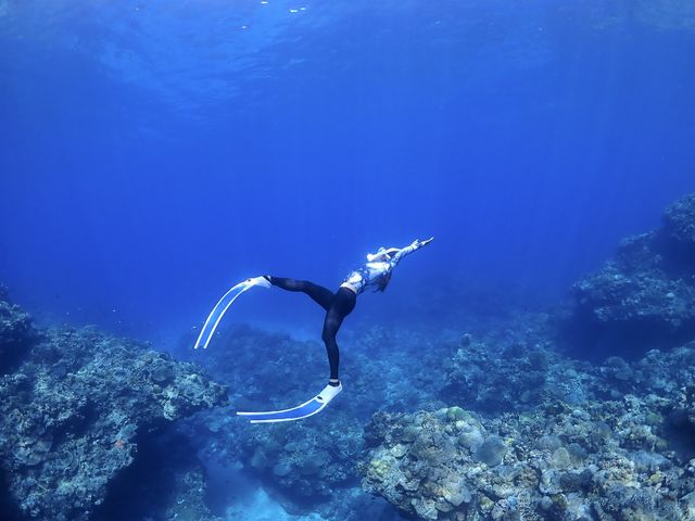 ���݂Ă񂮁E�_�C�r���O�T�[�r�X