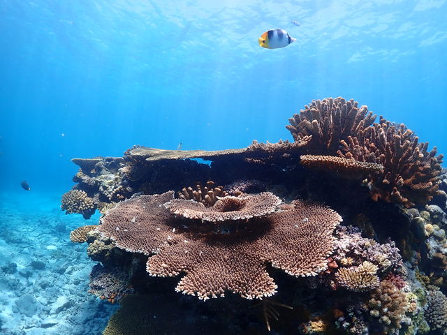 ���݂Ă񂮁E�_�C�r���O�T�[�r�X