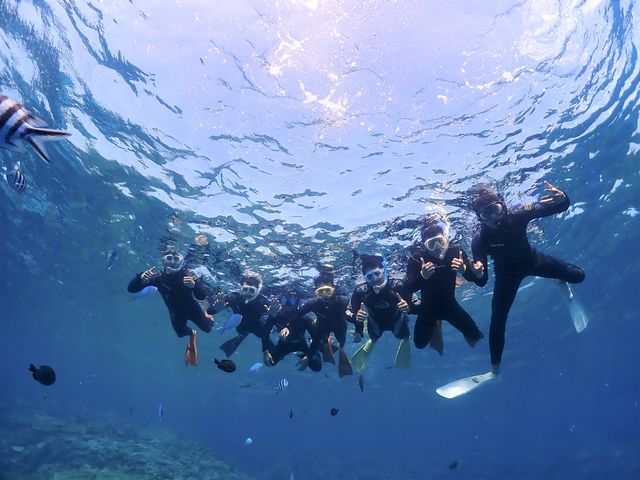 ���݂Ă񂮁E�_�C�r���O�T�[�r�X