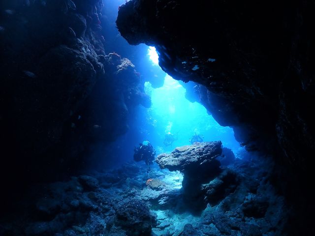 ���݂Ă񂮁E�_�C�r���O�T�[�r�X