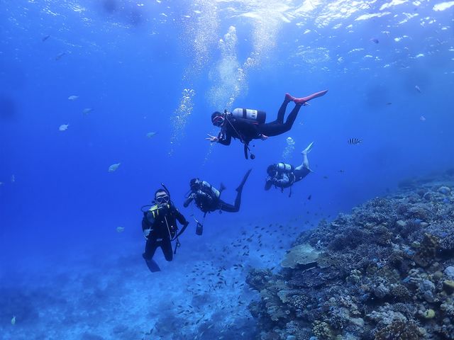 ���݂Ă񂮁E�_�C�r���O�T�[�r�X