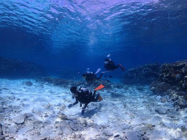 ���݂Ă񂮁E�_�C�r���O�T�[�r�X