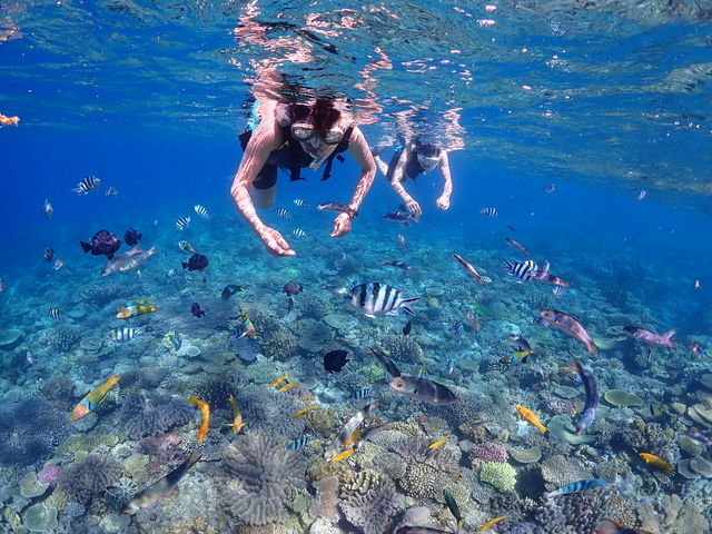 ���݂Ă񂮁E�_�C�r���O�T�[�r�X