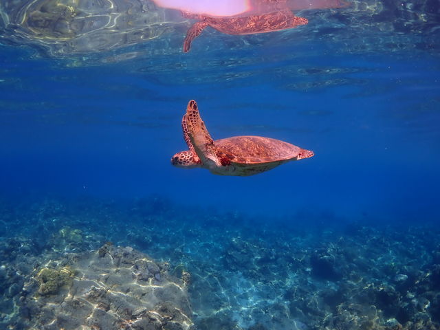 ���v���_�C�r���O�K�C�h���S�n