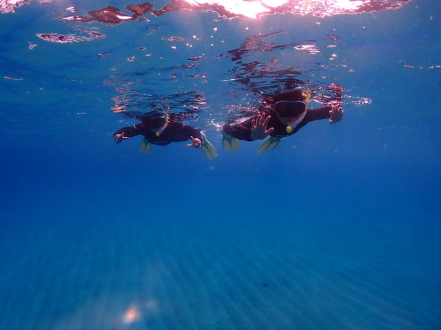 ���v���_�C�r���O�K�C�h���S�n