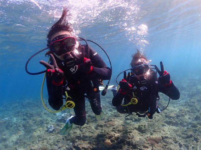 ���v���_�C�r���O�K�C�h���S�n