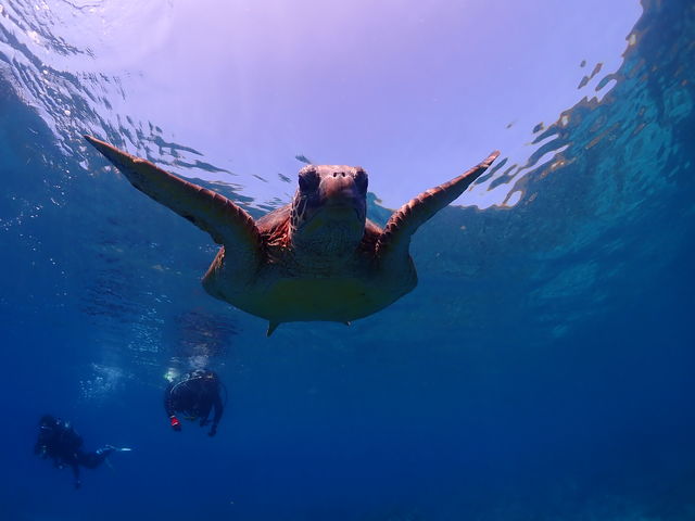 ���v���_�C�r���O�K�C�h���S�n