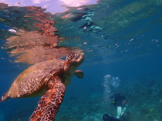 ���v���_�C�r���O�K�C�h���S�n