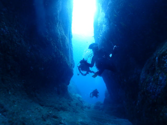 ���v���_�C�r���O�K�C�h���S�n