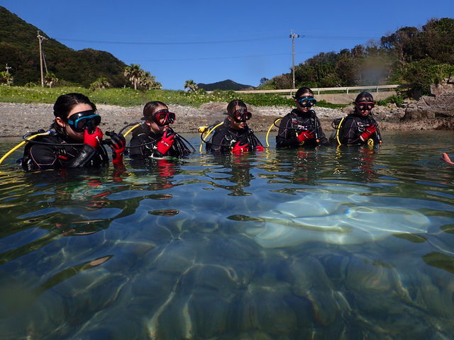 ���v���_�C�r���O�K�C�h���S�n