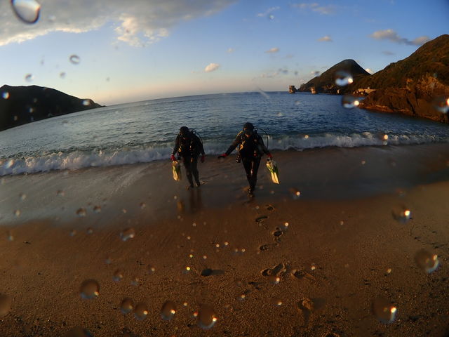 ���v���_�C�r���O�K�C�h���S�n