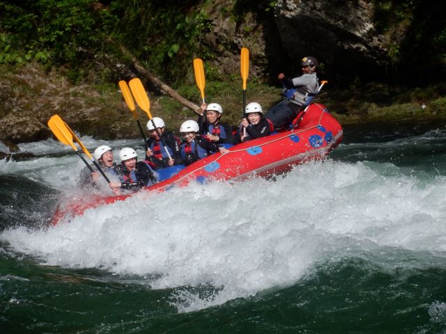 �t�̗�����͓��{���w�̌����R�[�X�B�X�������_�̃��t�e�B���O��̌��ł��܂��B_�W���O�X�|�[�c