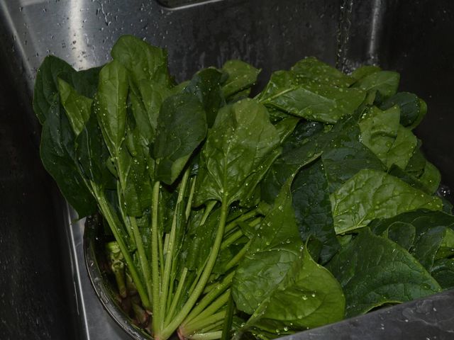 �a�َqCafe��ڂƂ��@�a�َq�Â���̌�