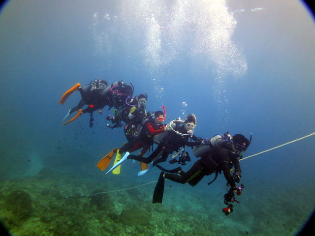 �t�@���_�C�r���O_�ߔe�V�[�}����