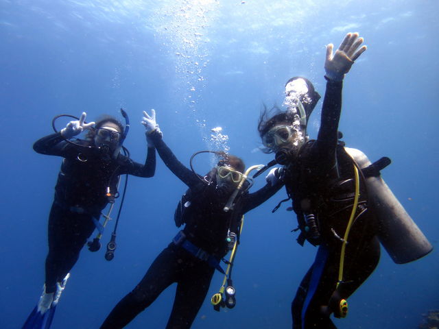 PADI���C�Z���X�擾_�ߔe�V�[�}����