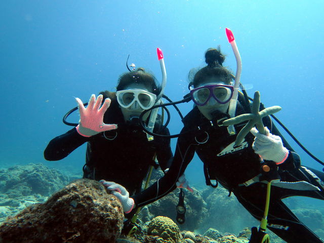 �P���}�����̌��_�C�r���O_�ߔe�V�[�}����