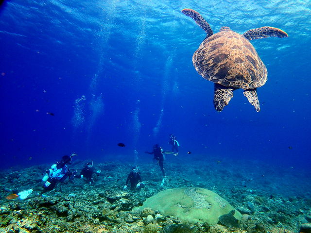 �P���}�����t�@���_�C�r���O_�ߔe�V�[�}����