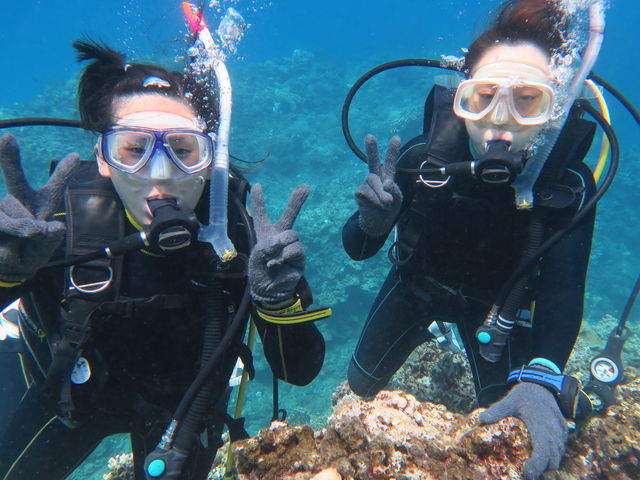 �P���}�����̌��_�C�r���O_�ߔe�V�[�}����