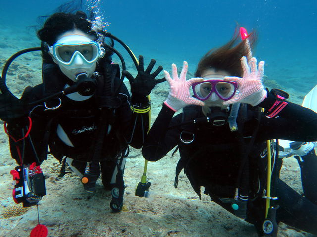 �P���}�������C�Z���X�擾_�ߔe�V�[�}����