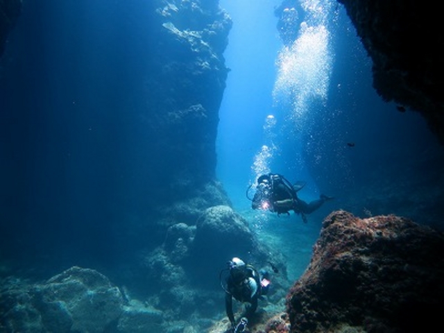 �P���}�t�@���_�C�r���O���A�c�A�[_�ߔe�V�[�}����