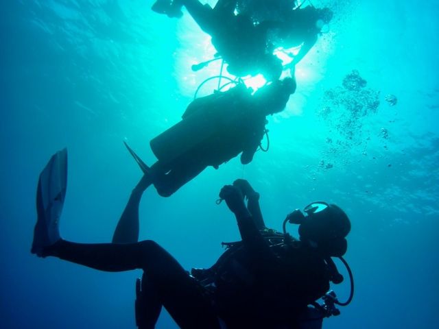 �̌��_�C�r���O���s���Ă���܂�_Pro�@Scuba�@Team�@SEALs