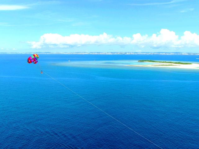 �������񉫓�E�c�Ǌԏ����G���A���R�~�N�ԃ����L���O7�N�A����P�ʁ��}������厏�Ń��[�U�[�]��11�N�A����P�ʁ�_�}�����N���u �x���[ �ߔe�X