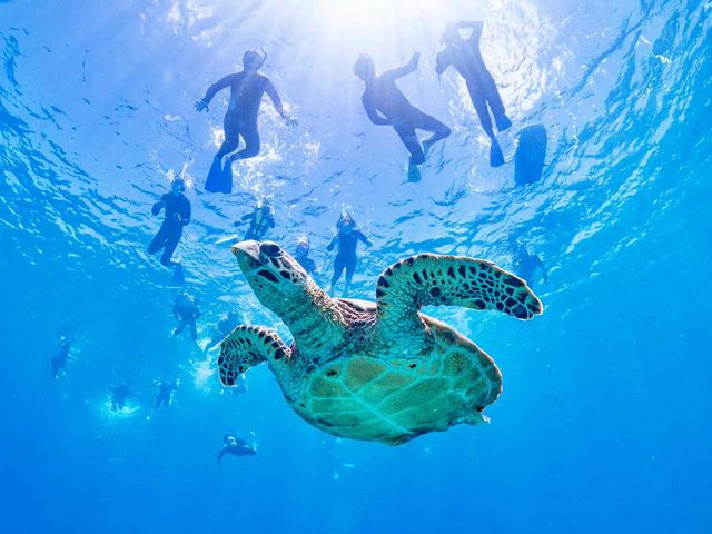 �������񉫓�E�c�Ǌԏ����G���A���R�~�N�ԃ����L���O7�N�A����P�ʁ��}������厏�Ń��[�U�[�]��11�N�A����P�ʁ�_�}�����N���u �x���[ �ߔe�X