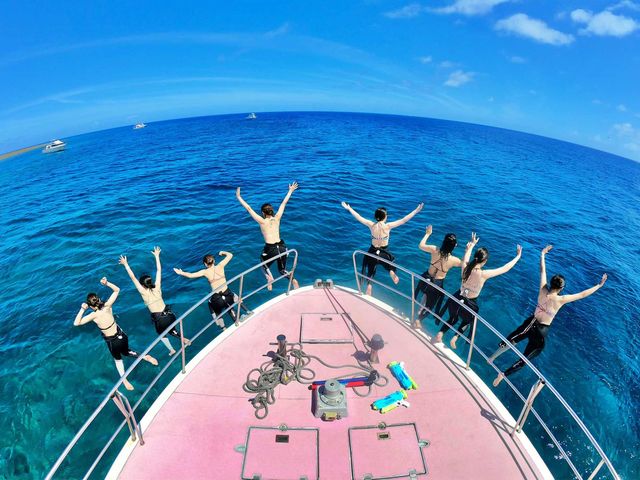 �������񉫓�E�c�Ǌԏ����G���A���R�~�N�ԃ����L���O7�N�A����P�ʁ��}������厏�Ń��[�U�[�]��11�N�A����P�ʁ�_�}�����N���u �x���[ �ߔe�X