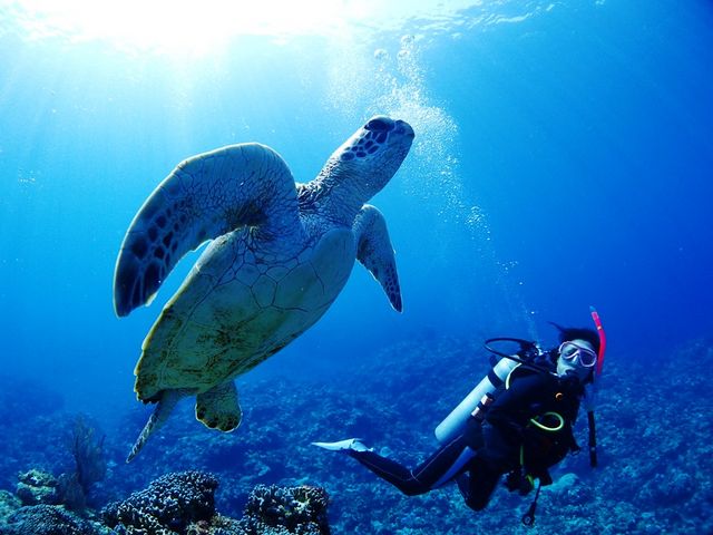 �������񉫓�E�c�Ǌԏ����G���A���R�~�N�ԃ����L���O7�N�A����P�ʁ��}������厏�Ń��[�U�[�]��11�N�A����P�ʁ�_�}�����N���u �x���[ �ߔe�X