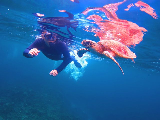 �������񉫓�E�c�Ǌԏ����G���A���R�~�N�ԃ����L���O7�N�A����P�ʁ��}������厏�Ń��[�U�[�]��11�N�A����P�ʁ�_�}�����N���u �x���[ �ߔe�X